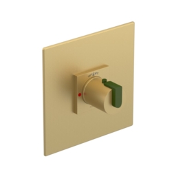Specialty Products Rubinet: R10 thermostatic trim plate only